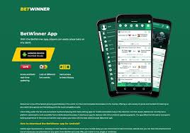 Understanding the World of Online Betting A Deep Dive into BetWinner