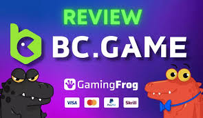 Experience the Thrills of Gaming and More at BCGame.im